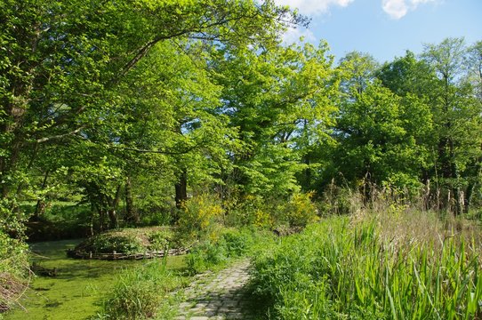 Une all&eacute;e du parc de Br&eacute;quigny