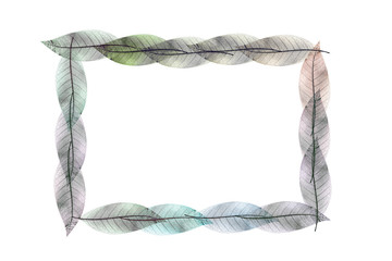 Skeleton  frame leaf abstract background