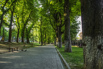 park green space