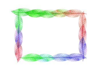 Skeleton  frame leaf abstract background