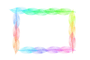 Skeleton  frame leaf abstract background