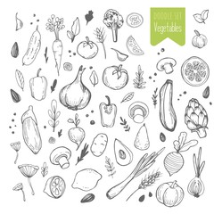 Set of hand drawn vegetable. Sketch of tomato, cucumber, carrot, broccoli, potato, eggplant, mushrooms, onion, beet, radish, pepper.