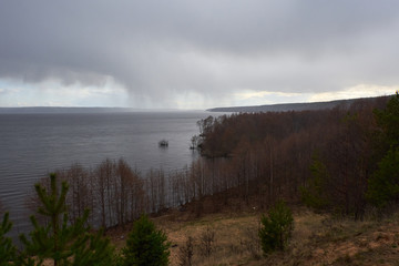 Forest on the bank of a wide river on a rainy day in early spring