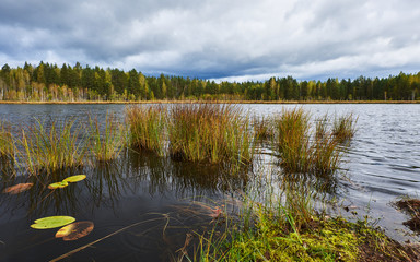 Forest lake on a cloudy autumn day