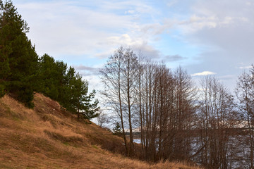 Trees without leaves on the bank of the river in early spring