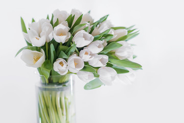 A bouquet of white tulips in a glass vase on a white background with a place for dext and writing. Decoration of a postcard