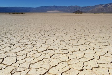 Dry landscape, global warming concept