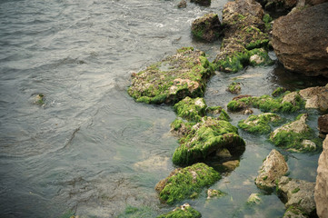 Rocky beach in moss