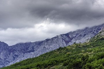 Croatian forest with clouds in mountains near Brela, Makarska Riviera, Croatia