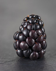 Single blackberry in closeup