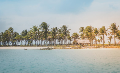 island beach  with palm trees and thatch hut 