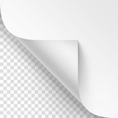 Vector Curled corner of White paper with shadow Mock up Close up Isolated on Transparent Background