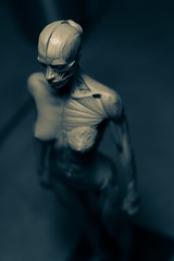 Anatomia kobiety figurka
