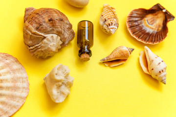 Tropical Background. Seashell and glass bottle on yellow colourful trendy modern fashion background. Vacation travel summer weekend sea adventure trip concept
