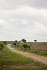 Obraz premium Old Dirt Country Road Leading up a Hill