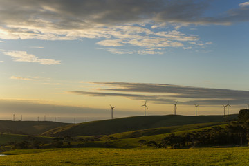 Fototapeta na wymiar wind farm at sunrise