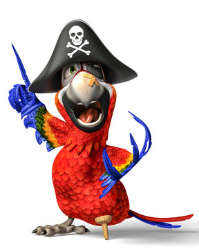 Fototapeta pirate parrot cartoon
