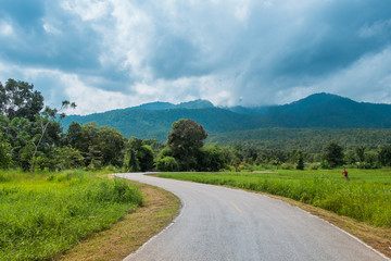 Fototapeta na wymiar Natural road to beautiful place in thailand