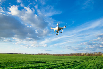 Naklejka premium Flying drone above the wheat field