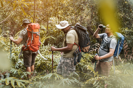 Group of diverse men trekking in the forest together
