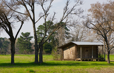 Naklejka na ściany i meble Log cabin in a field