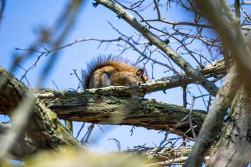 Ashbridge Beach on Ontario Lake, Toronto