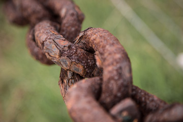Detail of rusty chain link.