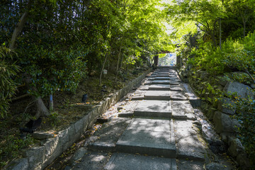 Obraz premium 高台寺の風景