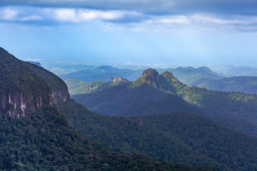 Fototapeta premium Scenic forested hills and cliffs in Springbrook National Park, Queensland, Australia