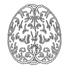human brain icon over white background, vector illustration
