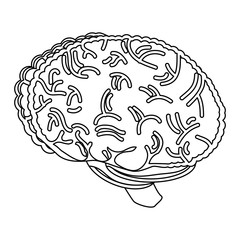 human brain icon over white background, vector illustration