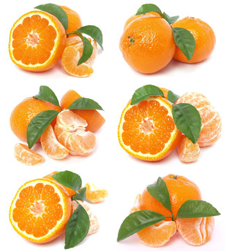 Mandarin fruit