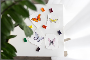 Watercolor sketches of butterflies on a white table with a green potted plant