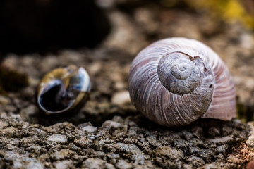 Spring is in the Air