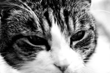 Spring is in the Air