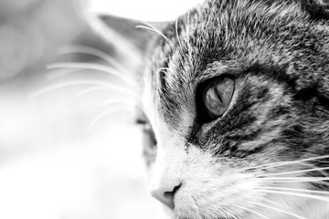 Spring is in the Air