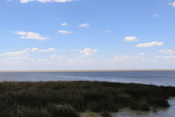 wild ocean coast in the distance can see the horizon