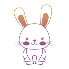 cute rabbit icon over white background, colorful design. vector illustration