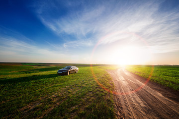 car on a dirt road in a field of sunflowers and wheat with sunlight