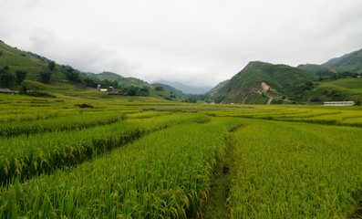 Lao Chai is little town in the valley that is famous about rice field terrace