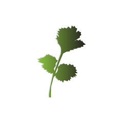 reen celery vector logo
