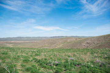 Fototapeta na wymiar steppe in late spring against the backdrop of the holo-sky sky