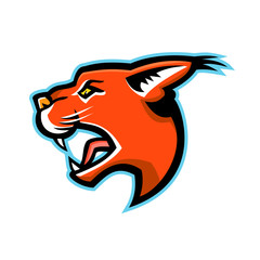 Sports mascot illustration of head of caracal, a medium-sized wild cat native to Africa with short face, long tufted ears, and long canine teeth viewed from side on isolated background in retro style.