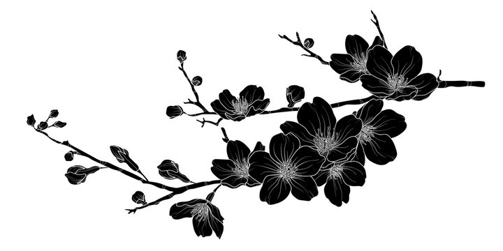 Cute hand drawn silhouette sakura branch set 1.