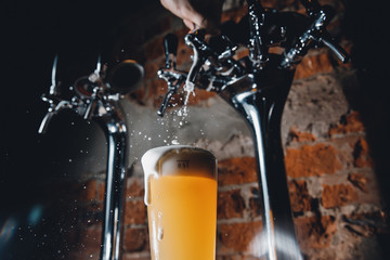 Close-up of barman pours light cold filtered beer in glass beaker.