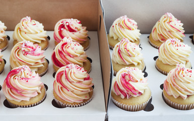 Delicate vanilla cupcakes with cream in the box on a white background