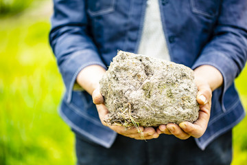 人が畑で大きな土の塊を手で持つ