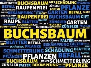 BUCHSBAUM - Bilder mit W&ouml;rtern aus dem Bereich Buchsbaumz&uuml;nsler Sch&auml;dling , Wort, Bild, Illustration