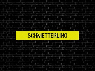 Fototapeta premium SCHMETTERLING - Bilder mit Wörtern aus dem Bereich Buchsbaumzünsler Schädling , Wort, Bild, Illustration