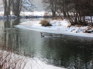 Enten Fluß Winter gefroren